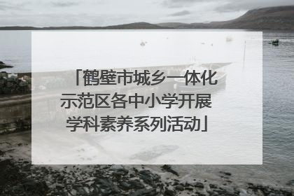 鹤壁市城乡一体化示范区各中小学开展学科素养系列活动