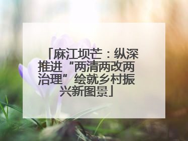 麻江坝芒：纵深推进“两清两改两治理”绘就乡村振兴新图景