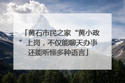 黄石市民之家“黄小政”上岗，不仅能聊天办事还能听懂多种语言
