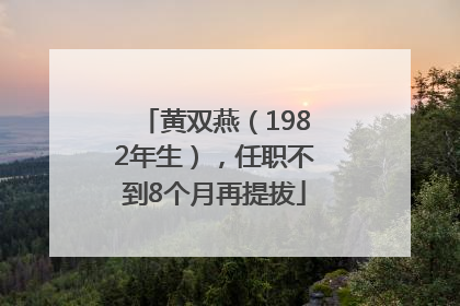 黄双燕（1982年生），任职不到8个月再提拔