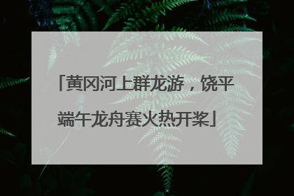 黄冈河上群龙游，饶平端午龙舟赛火热开桨