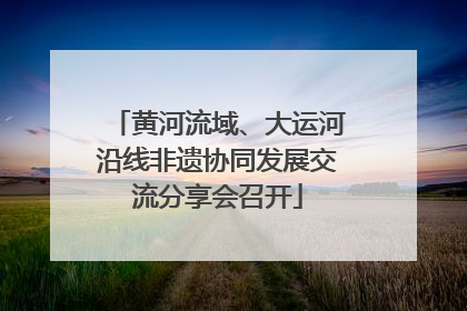 黄河流域、大运河沿线非遗协同发展交流分享会召开