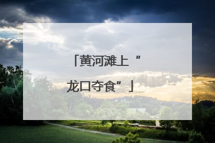 黄河滩上“龙口夺食”