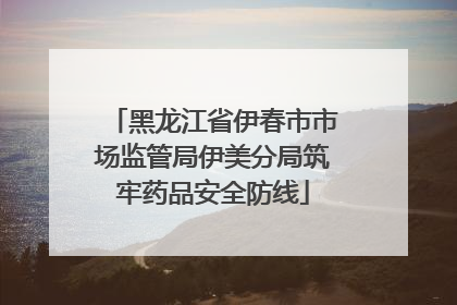 黑龙江省伊春市市场监管局伊美分局筑牢药品安全防线