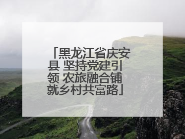黑龙江省庆安县 坚持党建引领 农旅融合铺就乡村共富路