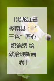黑龙江省桦南县：“三色”匠心织锦绣 绘就治理新画卷