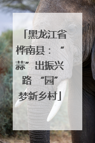 黑龙江省桦南县：“蒜”出振兴路 “园”梦新乡村