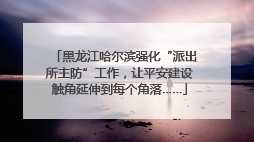 黑龙江哈尔滨强化“派出所主防”工作，让平安建设触角延伸到每个角落……