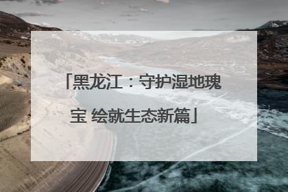 黑龙江：守护湿地瑰宝 绘就生态新篇