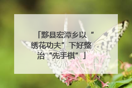黟县宏潭乡以“绣花功夫”下好整治“先手棋”