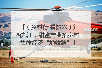 （乡村行·看振兴）江西九江：甜蜜产业拓宽村集体经济“增收路”