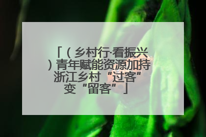 （乡村行·看振兴）青年赋能资源加持 浙江乡村“过客”变“留客”