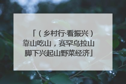（乡村行·看振兴）靠山吃山，赛罕乌拉山脚下兴起山野菜经济
