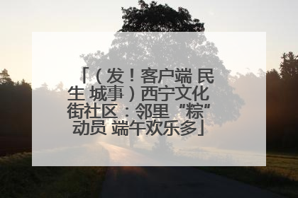 （发！客户端 民生 城事）西宁文化街社区：邻里“粽”动员 端午欢乐多