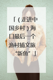 （走进中国乡村）海口最后一个渔村捕文旅“新鱼”