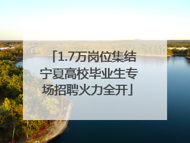 1.7万岗位集结 宁夏高校毕业生专场招聘火力全开