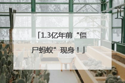 1.3亿年前“僵尸蚂蚁”现身！