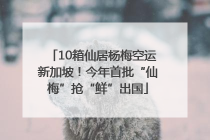 10箱仙居杨梅空运新加坡！今年首批“仙梅”抢“鲜”出国