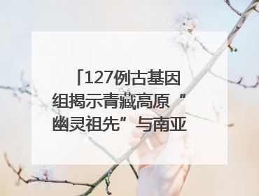 127例古基因组揭示青藏高原“幽灵祖先”与南亚语系族群遗传起源｜封面科考队