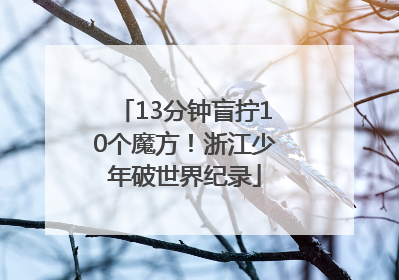 13分钟盲拧10个魔方！浙江少年破世界纪录