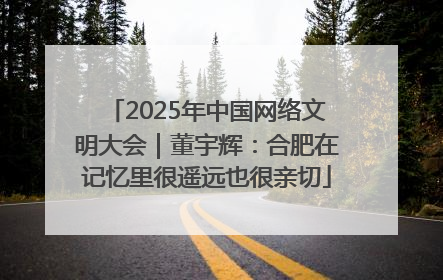 2025年中国网络文明大会｜董宇辉：合肥在记忆里很遥远也很亲切