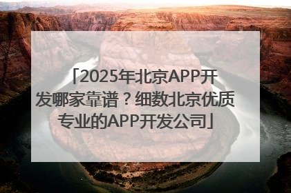 2025年北京APP开发哪家靠谱？细数北京优质专业的APP开发公司