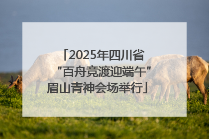 2025年四川省“百舟竞渡迎端午”眉山青神会场举行