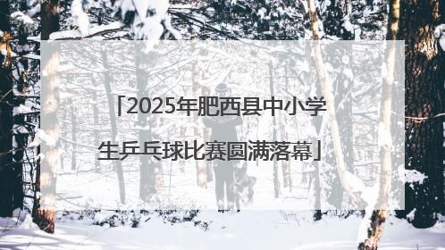 2025年肥西县中小学生乒乓球比赛圆满落幕