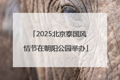 2025北京泰国风情节在朝阳公园举办