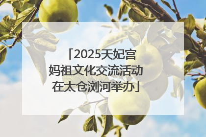 2025天妃宫妈祖文化交流活动在太仓浏河举办