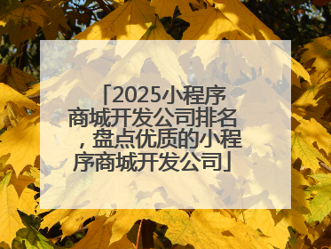2025小程序商城开发公司排名，盘点优质的小程序商城开发公司