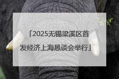 2025无锡梁溪区首发经济上海恳谈会举行