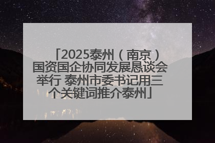 2025泰州（南京）国资国企协同发展恳谈会举行 泰州市委书记用三个关键词推介泰州
