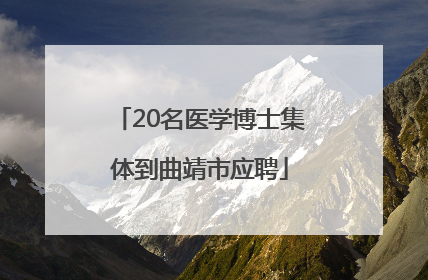 20名医学博士集体到曲靖市应聘