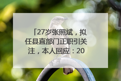 27岁张照斌，拟任县直部门正职引关注，本人回应：2019年选调生，此前负责公文相关工作