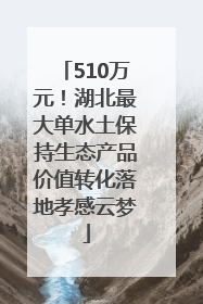 510万元！湖北最大单水土保持生态产品价值转化落地孝感云梦