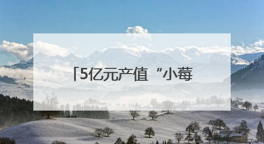 5亿元产值“小莓大业”，给了乡村振兴鲜活注脚！
