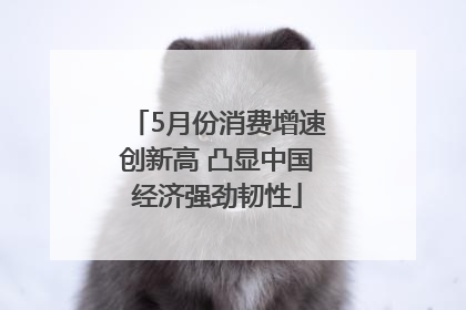 5月份消费增速创新高 凸显中国经济强劲韧性