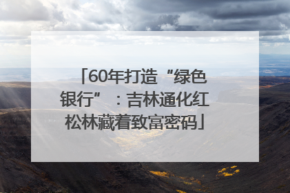 60年打造“绿色银行”：吉林通化红松林藏着致富密码