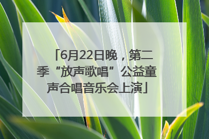 6月22日晚，第二季“放声歌唱”公益童声合唱音乐会上演