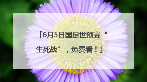 6月5日国足世预赛“生死战”，免费看！