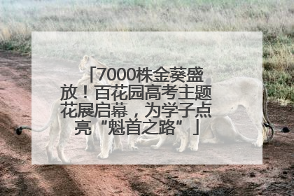 7000株金葵盛放！百花园高考主题花展启幕，为学子点亮“魁首之路”