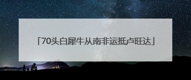 70头白犀牛从南非运抵卢旺达