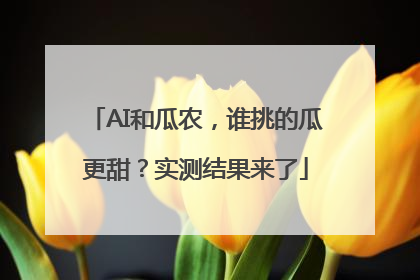 AI和瓜农，谁挑的瓜更甜？实测结果来了