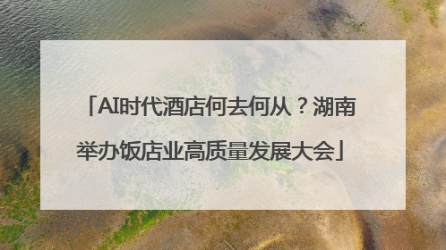 AI时代酒店何去何从？湖南举办饭店业高质量发展大会