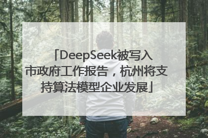 DeepSeek被写入市政府工作报告，杭州将支持算法模型企业发展