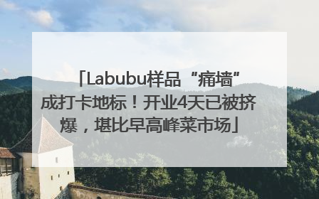 Labubu样品“痛墙”成打卡地标！开业4天已被挤爆，堪比早高峰菜市场