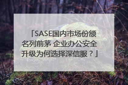 SASE国内市场份额名列前茅 企业办公安全升级为何选择深信服？